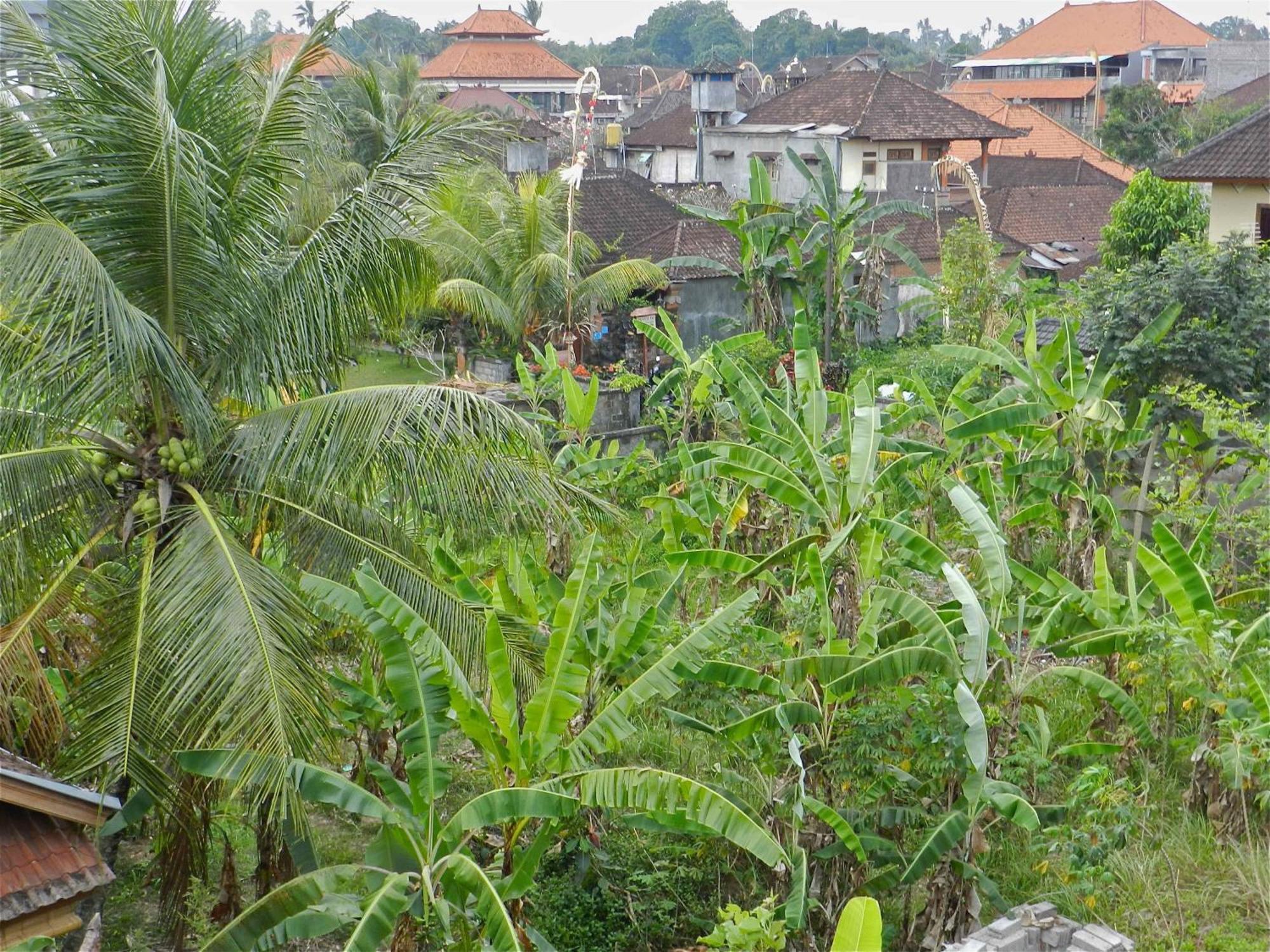 Kori Bali Inn I อูบุด ภายนอก รูปภาพ